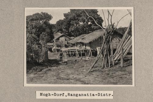 159.JPG
